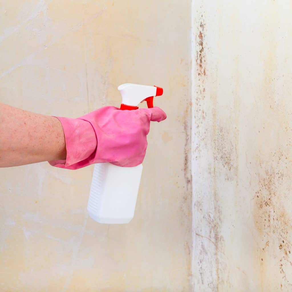 Lysol Mold and Mildew Remover: The Best Bathroom Cleaner