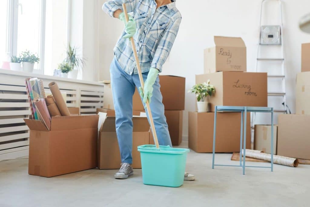 Standard Move-Out Cleaning Checklist